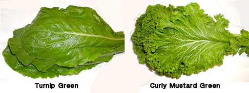 [greens]