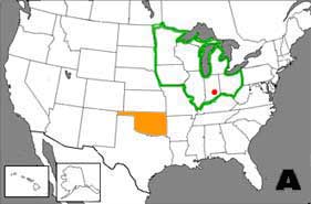 [Midwest]